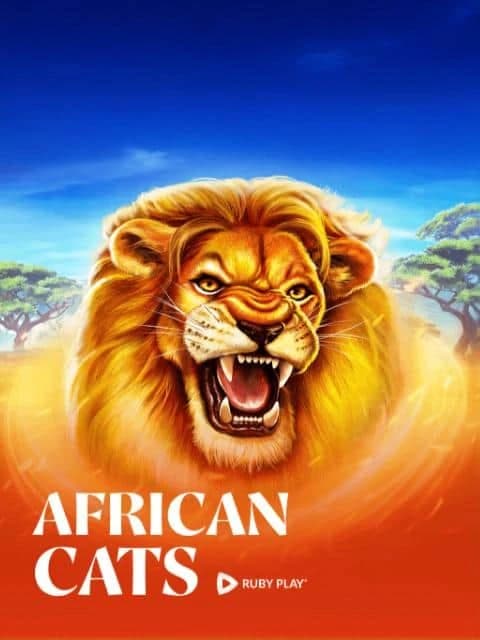 African Cats