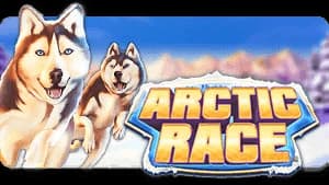 Arctic Race