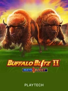 Buffalo Blitz II