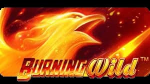 BURNING Wild