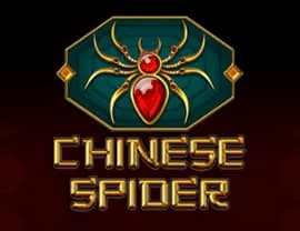 Chinese Spider