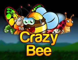 Crazy Bee