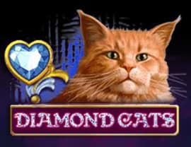Diamond Cats