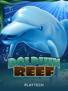 Dolphin Reef