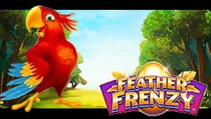 Feather Frenzy