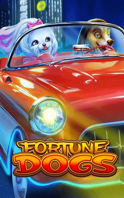 FortuneDogs