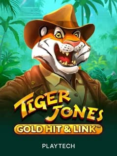 Gold Hit & Link: Tiger Jones