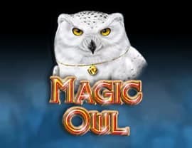 Magic Owl