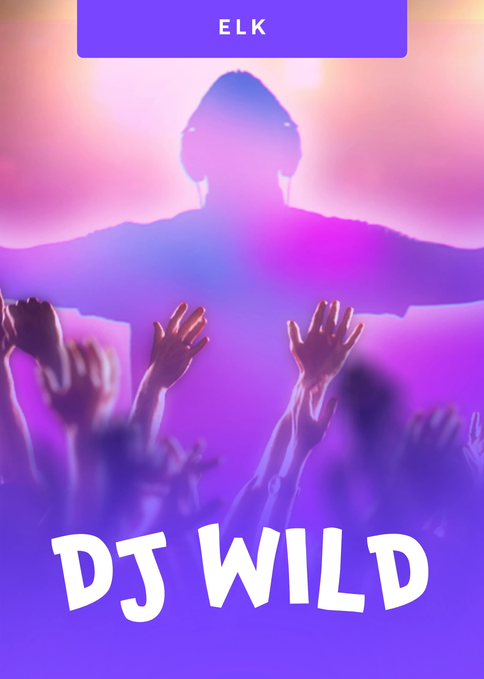 dj-wild