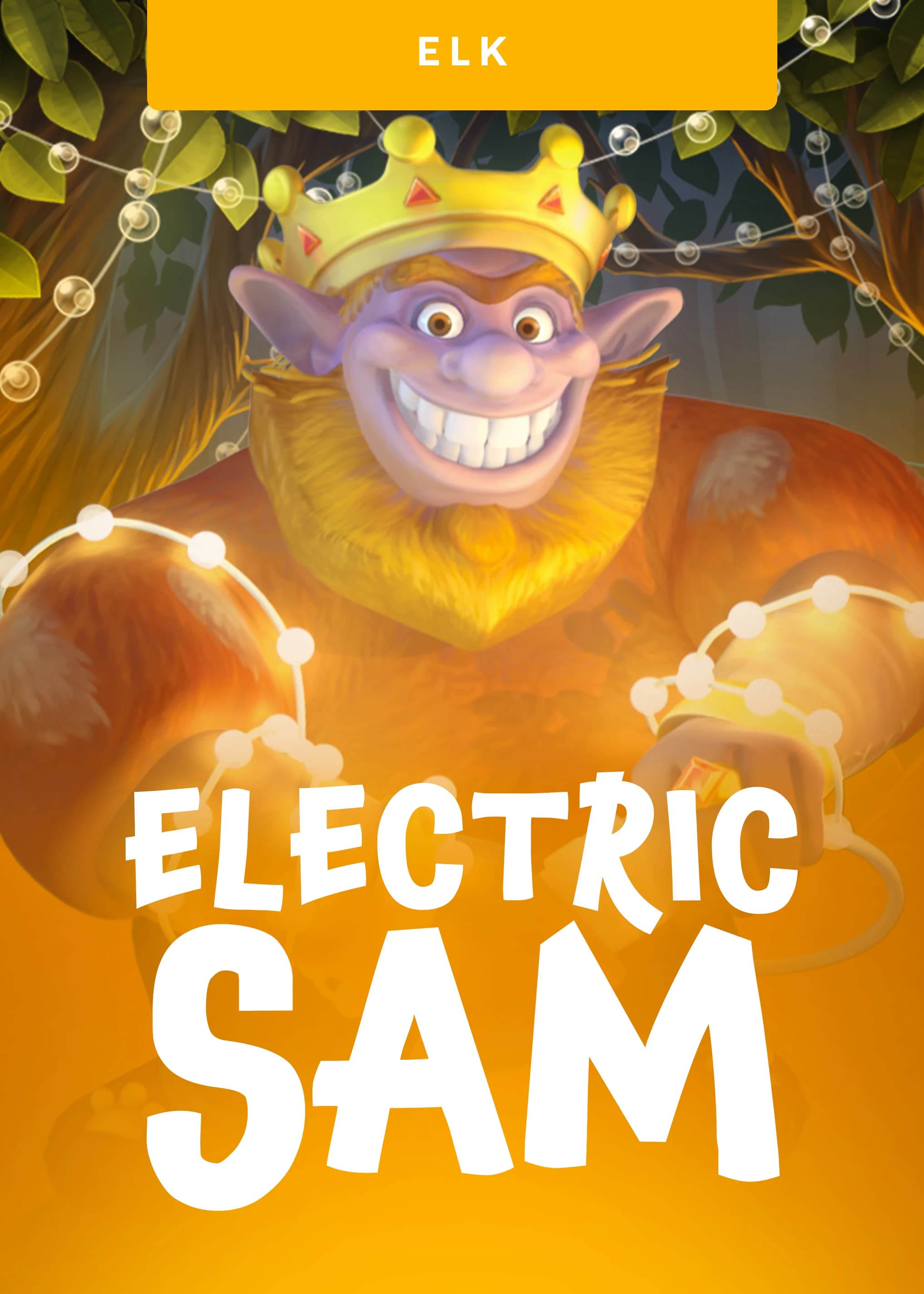 electric-sam