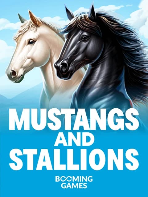 Mustangs and Stallions